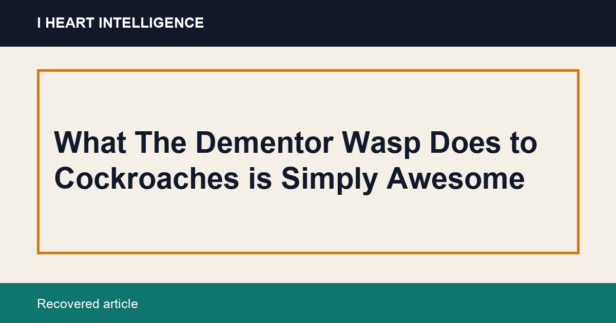 What The Dementor Wasp Does to Cockroaches is Simply Awesome
