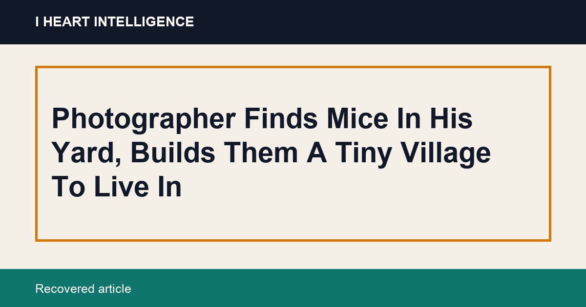 Photographer Finds Mice In His Yard, Builds Them A Tiny Village To Live In