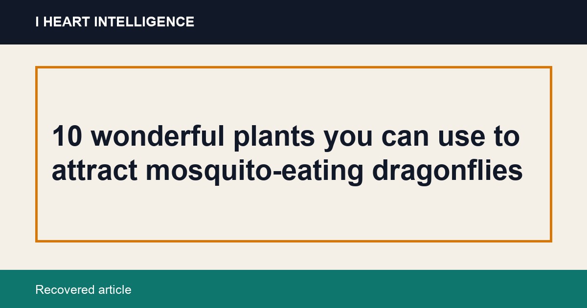 10 wonderful plants you can use to attract mosquito-eating dragonflies