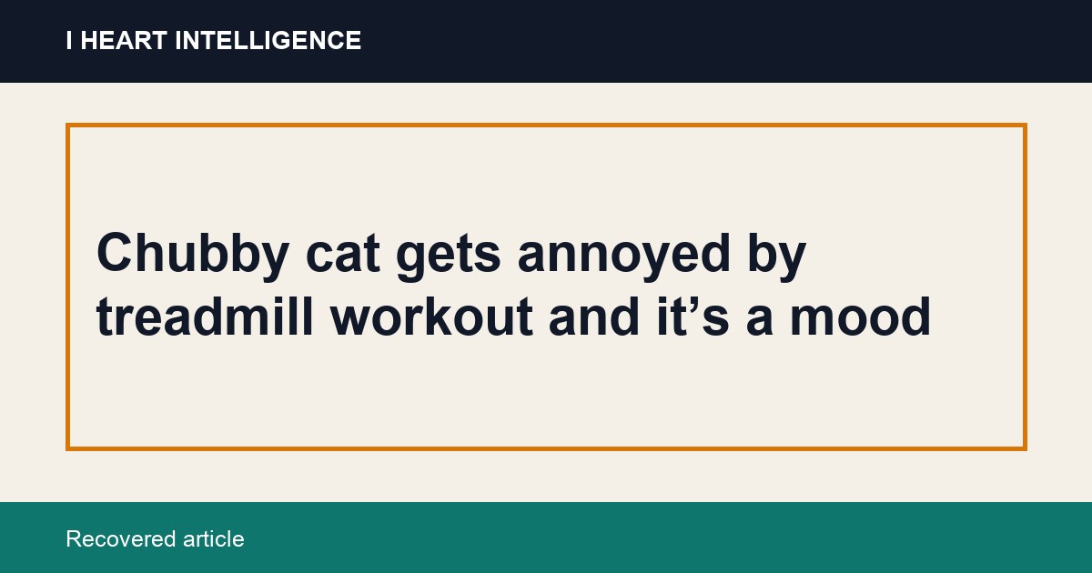 Chubby cat gets annoyed by treadmill workout and it’s a mood