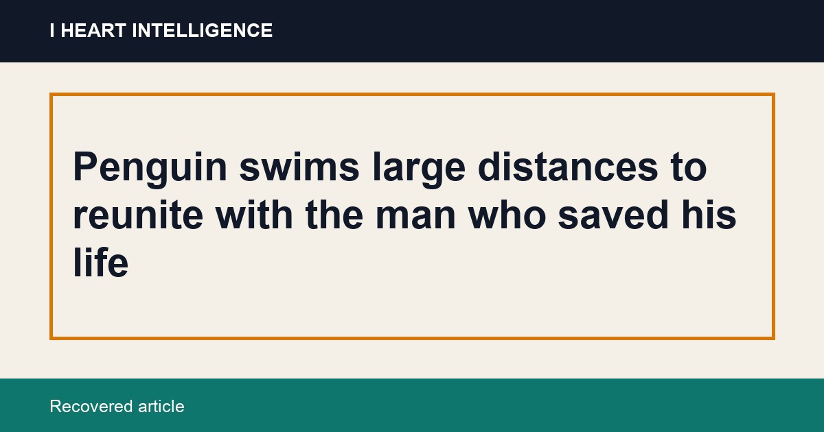 Penguin swims large distances to reunite with the man who saved his life
