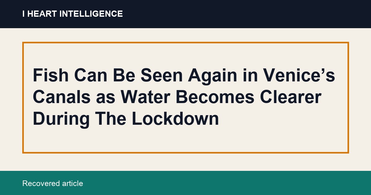 Fish Can Be Seen Again in Venice’s Canals as Water Becomes Clearer During The Lockdown
