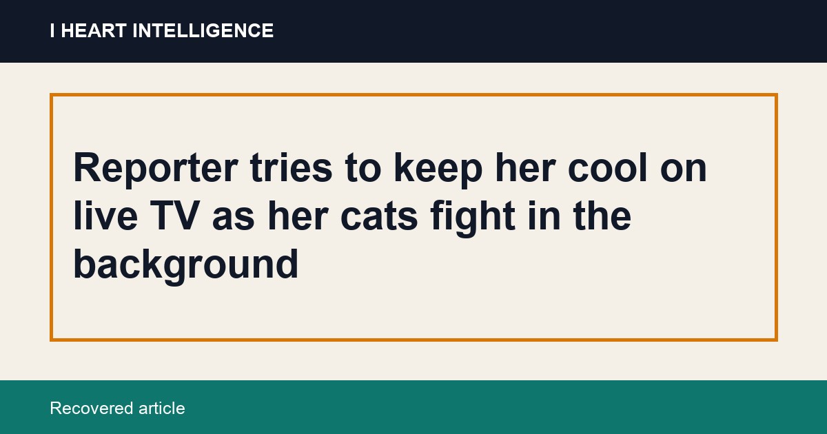 Reporter tries to keep her cool on live TV as her cats fight in the background