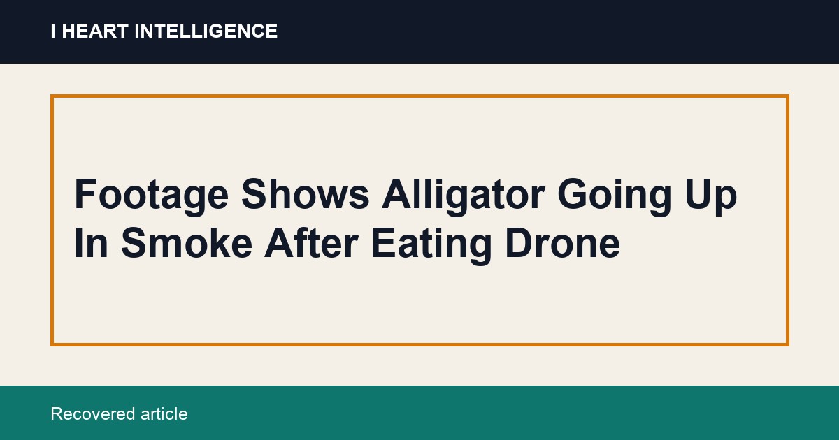 Footage Shows Alligator Going Up In Smoke After Eating Drone