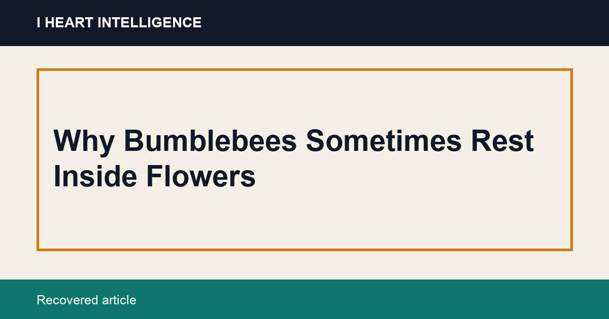 Why Bumblebees Sometimes Rest Inside Flowers