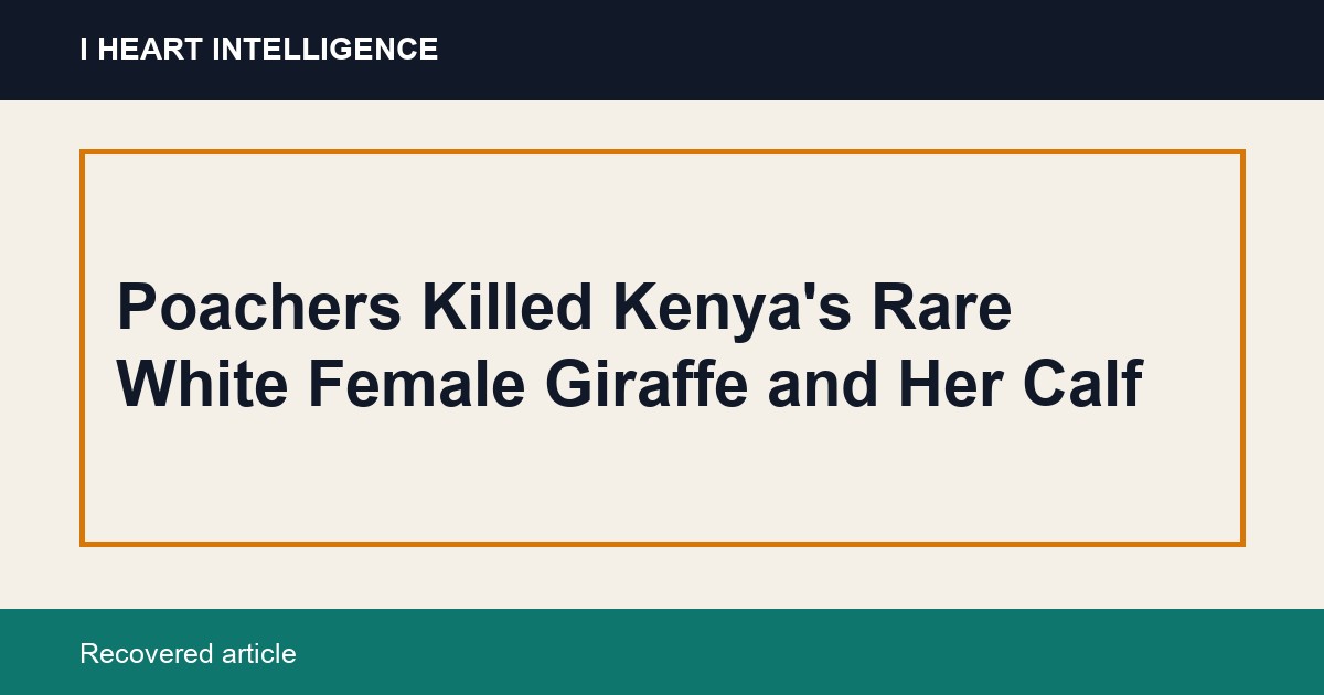 Poachers Killed Kenya's Rare White Female Giraffe and Her Calf