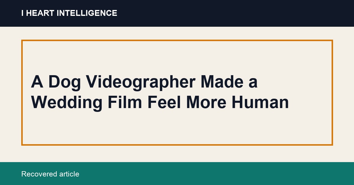 A Dog Videographer Made a Wedding Film Feel More Human
