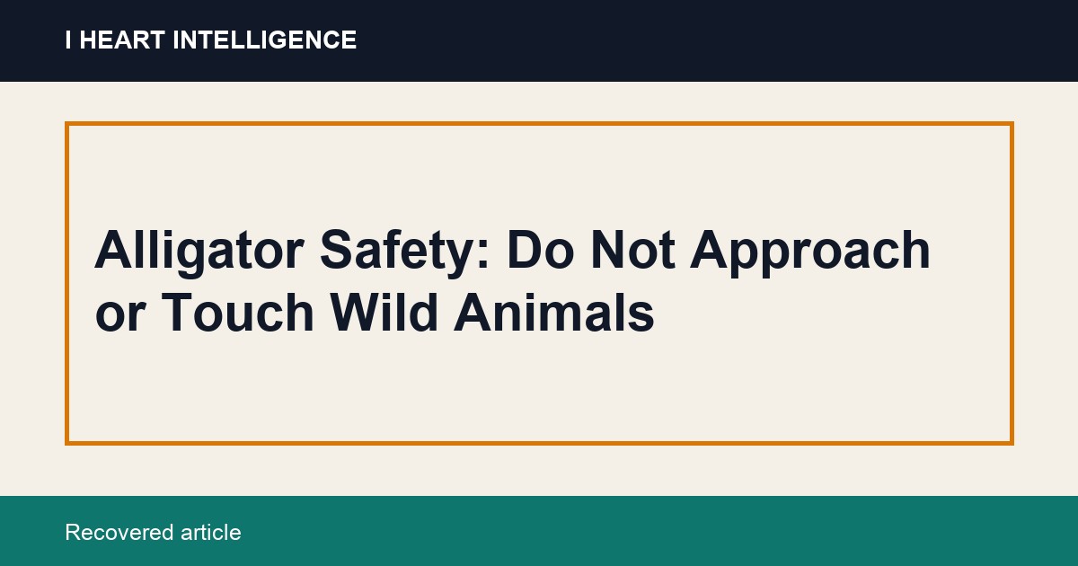 Alligator Safety: Do Not Approach or Touch Wild Animals